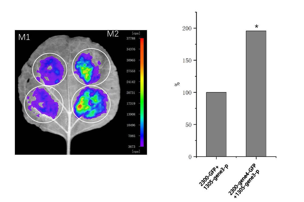 案例.pptx 只读_页面_3 案例.pptx 只读_页面_3